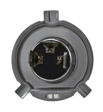 Load image into Gallery viewer, Photo - Close Up