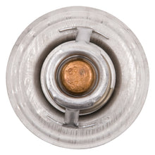 Load image into Gallery viewer, Photo - Unmounted