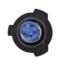 Load image into Gallery viewer, Photo - Close Up