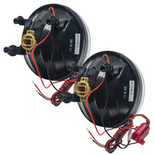 Load image into Gallery viewer, Photo - Close Up