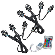 Load image into Gallery viewer, Photo - Primary