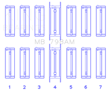 Load image into Gallery viewer, Photo - Primary