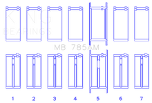 Load image into Gallery viewer, Photo - Primary