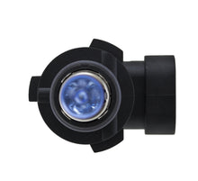 Load image into Gallery viewer, Photo - Close Up