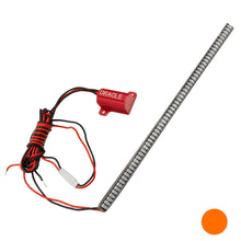 Load image into Gallery viewer, Photo - Primary