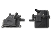 Load image into Gallery viewer, Photo - Unmounted