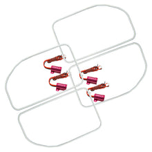 Load image into Gallery viewer, Photo - Primary