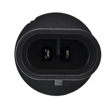 Load image into Gallery viewer, Photo - Close Up