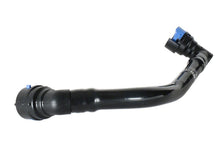 Load image into Gallery viewer, Photo - Unmounted