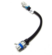 Load image into Gallery viewer, Photo - Unmounted