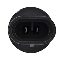 Load image into Gallery viewer, Photo - Unmounted