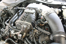 Load image into Gallery viewer, Photo - Mounted