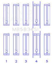 Load image into Gallery viewer, Photo - Primary