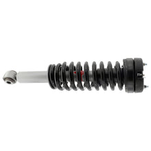 Load image into Gallery viewer, Photo - Primary