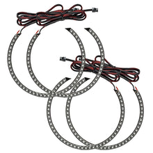 Load image into Gallery viewer, Photo - Primary