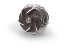 Load image into Gallery viewer, Photo - Unmounted