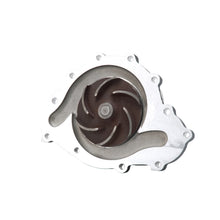 Load image into Gallery viewer, Photo - out of package