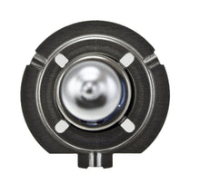 Load image into Gallery viewer, Photo - Close Up