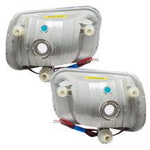 Load image into Gallery viewer, Photo - Close Up