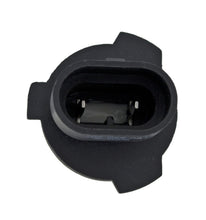 Load image into Gallery viewer, Photo - Close Up