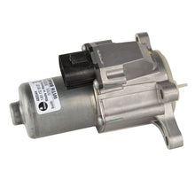 Load image into Gallery viewer, Photo - Unmounted