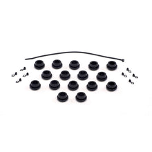 Load image into Gallery viewer, Photo - Primary