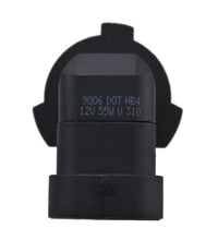 Load image into Gallery viewer, Photo - Close Up