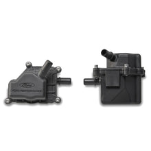 Load image into Gallery viewer, Photo - Unmounted