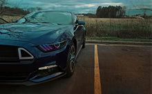 Load image into Gallery viewer, Photo - lifestyle view