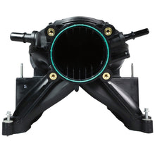 Load image into Gallery viewer, Photo - Unmounted