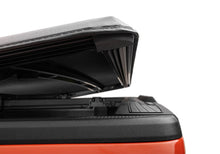 Load image into Gallery viewer, Photo - Close Up