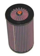 Load image into Gallery viewer, Photo - Primary