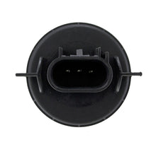 Load image into Gallery viewer, Photo - Unmounted