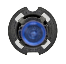 Load image into Gallery viewer, Photo - Unmounted