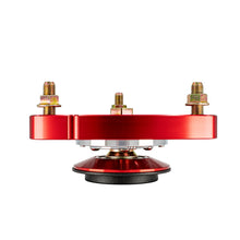 Load image into Gallery viewer, Photo - Close Up