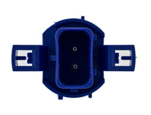 Load image into Gallery viewer, Photo - Close Up