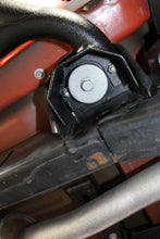 Load image into Gallery viewer, Photo - lifestyle view