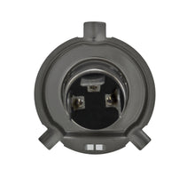 Load image into Gallery viewer, Photo - Close Up