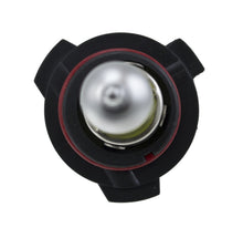 Load image into Gallery viewer, Photo - Unmounted