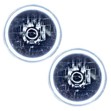 Load image into Gallery viewer, Photo - Primary