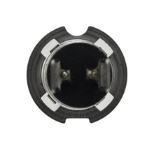 Load image into Gallery viewer, Photo - Unmounted