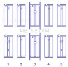 Load image into Gallery viewer, Photo - Primary