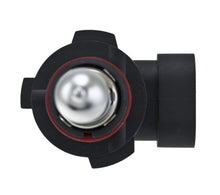 Load image into Gallery viewer, Photo - Unmounted