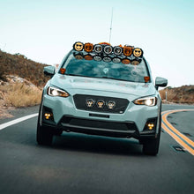 Load image into Gallery viewer, User 9