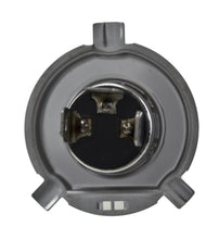 Load image into Gallery viewer, Photo - Unmounted