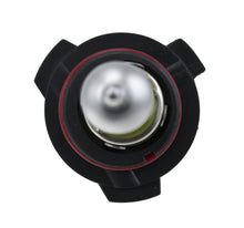 Load image into Gallery viewer, Photo - Close Up