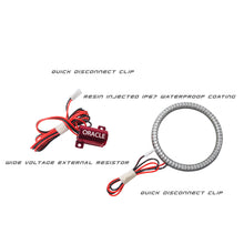 Load image into Gallery viewer, Photo - in package