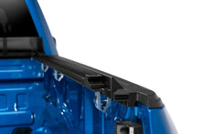 Load image into Gallery viewer, Photo - Mounted