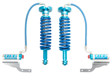 Load image into Gallery viewer, Photo - Primary