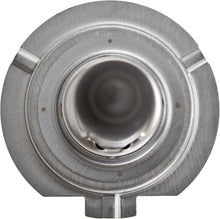 Load image into Gallery viewer, Photo - Close Up